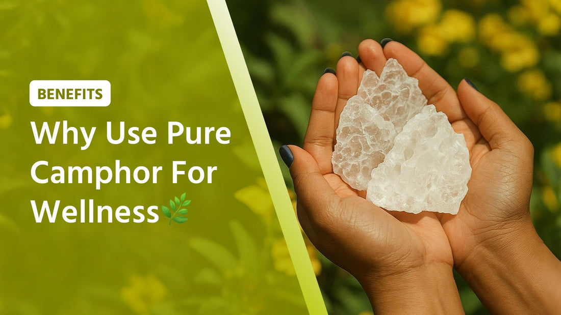 Bhimseni Camphor Benefits: Pure Camphor Uses for Health & Home