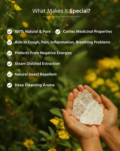 Aura Cleansing Camphor 200g